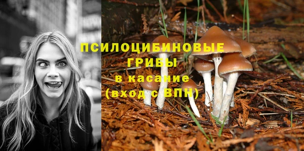 амф Бронницы