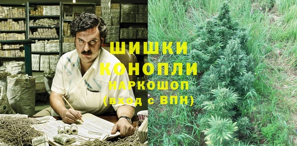 амф Бронницы