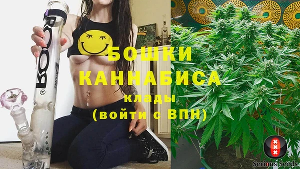 амф Бронницы