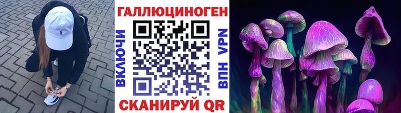 Псилоцибиновые грибы Psilocybine cubensis  Володарск 